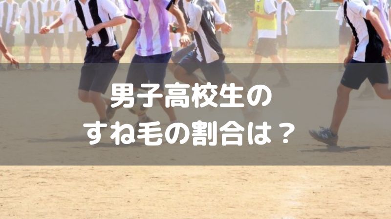 男子高校生のすね毛処理の割合は半数以上？最新事情